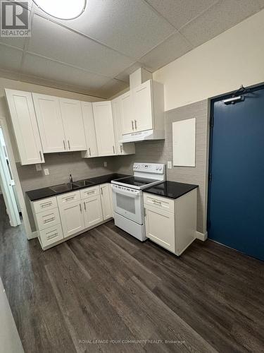 G2 - 72 Lake Avenue, Richmond Hill, ON - Indoor Photo Showing Kitchen With Double Sink