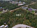 Lot 1-0 Beaver Pond Road, Cape Broyle, NL 