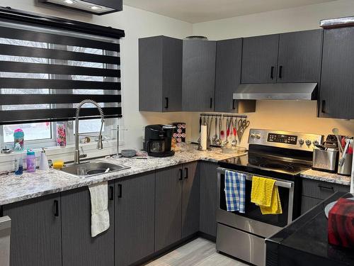 Cuisine - 3112 Rue Louis-Hémon, Shawinigan, QC - Indoor Photo Showing Kitchen With Double Sink