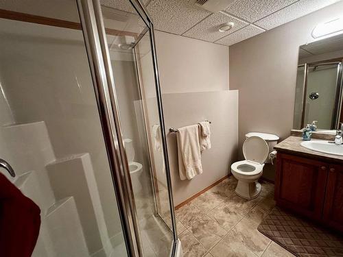 719 Porcupine Boulevard, Thunder Bay, ON - Indoor Photo Showing Bathroom