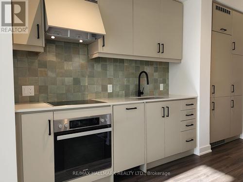 103 - 9 Tecumseth Street, Toronto, ON - Indoor Photo Showing Kitchen With Upgraded Kitchen