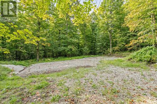 Lot 109 Basshaunt Lake Road, Dysart Et Al, ON 