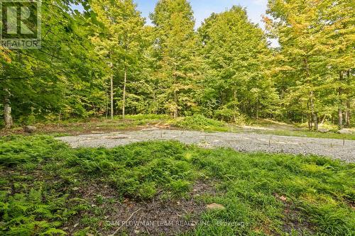 Lot 109 Basshaunt Lake Road, Dysart Et Al, ON 