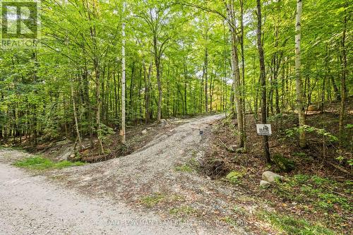 Lot 109 Basshaunt Lake Road, Dysart Et Al, ON 