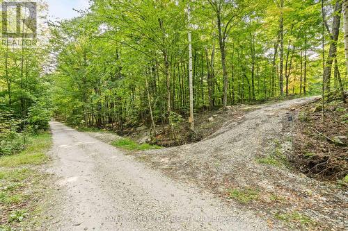 Lot 109 Basshaunt Lake Road, Dysart Et Al, ON 