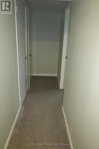 Lower - 76 Ardsley Road, London, ON - Indoor Photo Showing Other Room