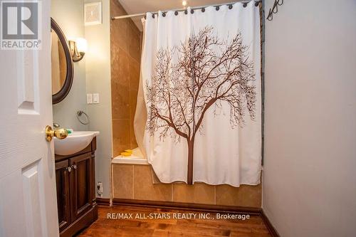 203 County Rd 28 Road, Otonabee-South Monaghan, ON - Indoor Photo Showing Bathroom