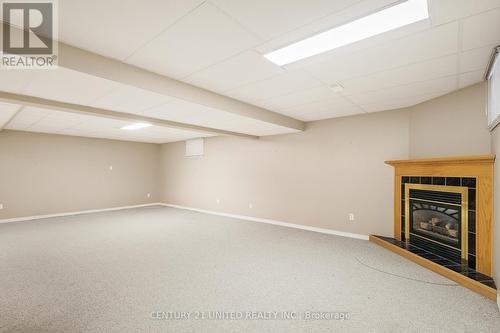 2278 Wintergreen Trail, Peterborough (Monaghan), ON - Indoor Photo Showing Basement With Fireplace