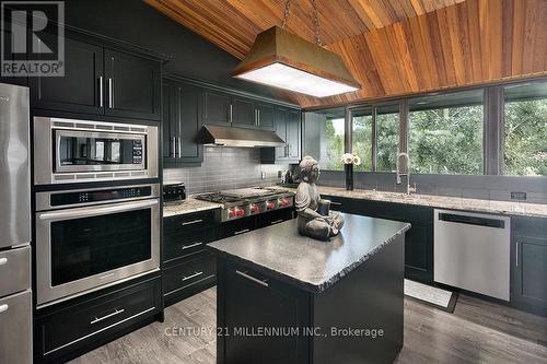 131 Old Mosley Street, Wasaga Beach, ON - Indoor Photo Showing Kitchen With Upgraded Kitchen