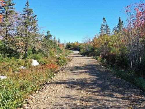 Lot 14 Golden Horizon Road, South West Port Mouton, NS 