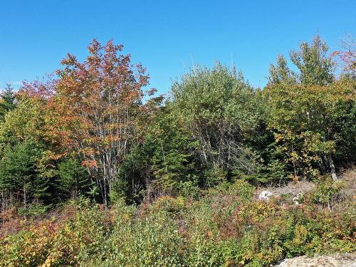 Lot F8 Golden Horizon Drive, South West Port Mouton, NS 