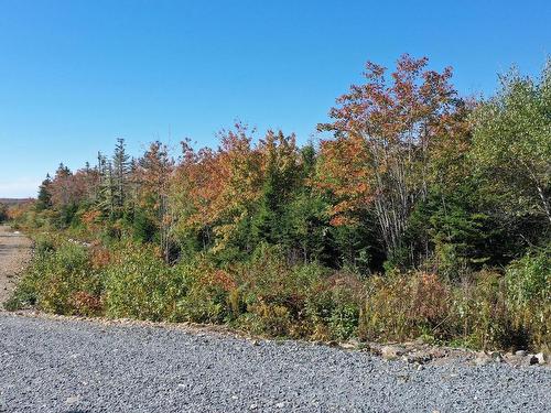 Lot F8 Golden Horizon Drive, South West Port Mouton, NS 