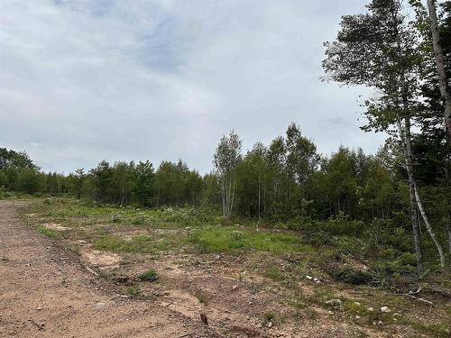 Lot 24 Deep Wood Drive, West St Andrews, NS 