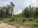 Lot 24 Deep Wood Drive, West St Andrews, NS 