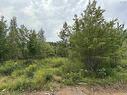 Lot 24 Deep Wood Drive, West St Andrews, NS 