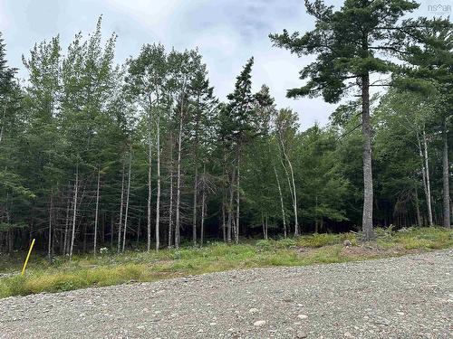 Lot 24 Deep Wood Drive, West St Andrews, NS 