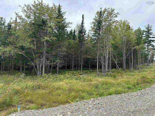 Lot 24 Deep Wood Drive, West St Andrews, NS 