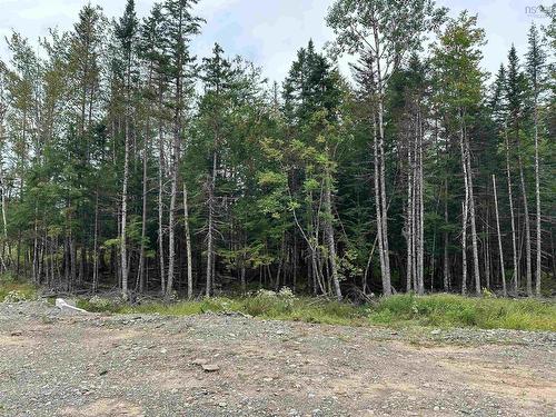 Lot 24 Deep Wood Drive, West St Andrews, NS 