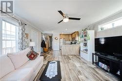 Living room featuring ceiling fan, ornamental molding, and light hardwood / wood-style flooring - 