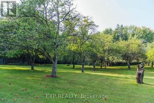 283 Rainbow Ridge Road, Kawartha Lakes (Little Britain), ON - Outdoor With View