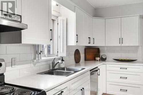 75 Parkview Road, St. Catharines (445 - Facer), ON - Indoor Photo Showing Kitchen With Double Sink