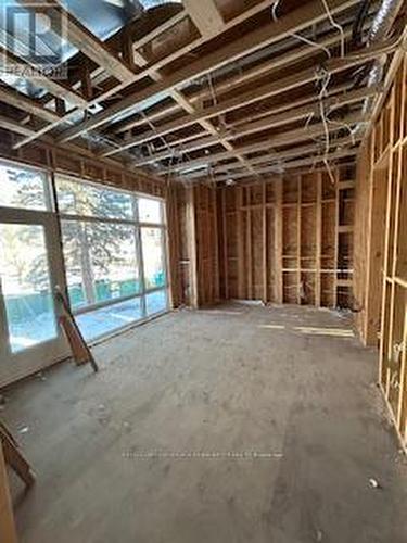 53 Little Avenue, Barrie, ON - Indoor Photo Showing Basement