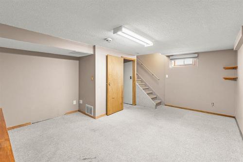 141 Balaban Place, Winnipeg, MB - Indoor Photo Showing Basement