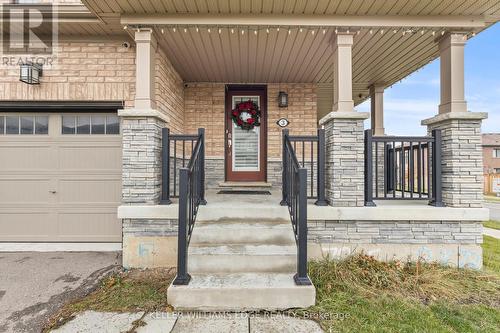 3 Pagebrook Crescent, Hamilton, ON - Outdoor