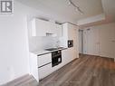 3507 - 238 Simcoe Street, Toronto, ON  - Indoor Photo Showing Kitchen With Double Sink 