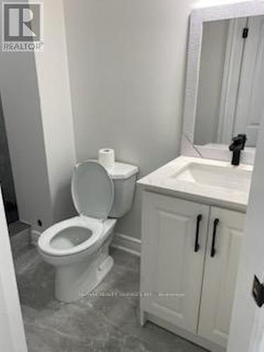 53 Sinden Road, Brantford, ON - Indoor Photo Showing Bathroom