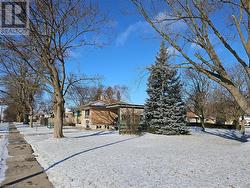 View of yard covered in snow - 