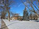 View of yard covered in snow - 140 Alvin Street, Waterloo, ON  - Outdoor 