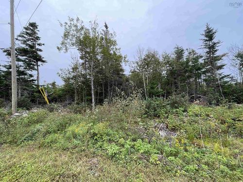 20 Deep Wood Drive, West St Andrews, NS 