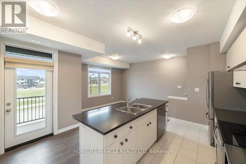 48 Oat Lane, Kitchener, ON - Indoor Photo Showing Kitchen With Double Sink