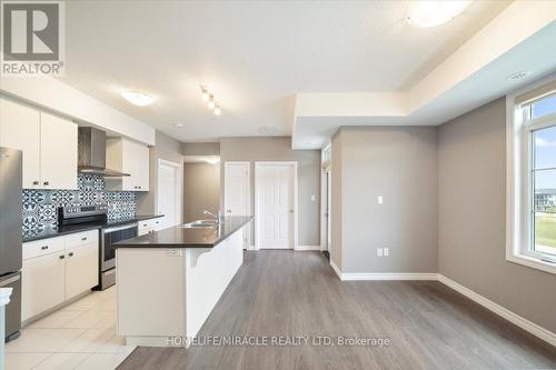 48 Oat Lane, Kitchener, ON - Indoor Photo Showing Kitchen With Double Sink