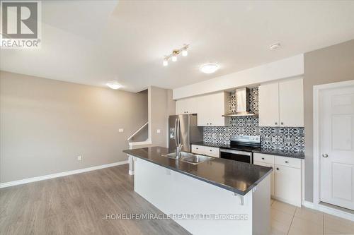 48 Oat Lane, Kitchener, ON - Indoor Photo Showing Kitchen With Stainless Steel Kitchen