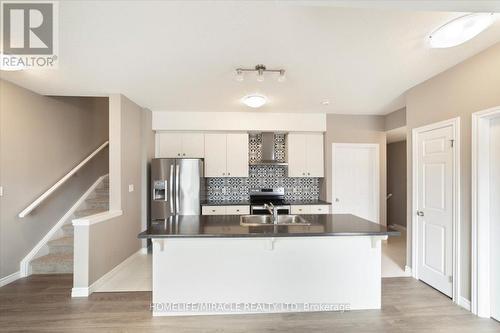 48 Oat Lane, Kitchener, ON - Indoor Photo Showing Kitchen With Double Sink