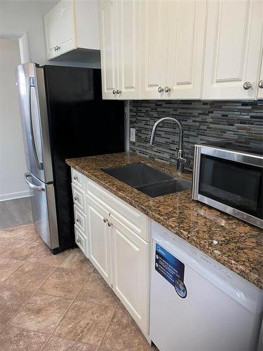 389 Guildford Street, Winnipeg, MB - Indoor Photo Showing Kitchen With Double Sink