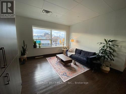 201 - 809 Dundas Street W, Toronto, ON - Indoor Photo Showing Living Room