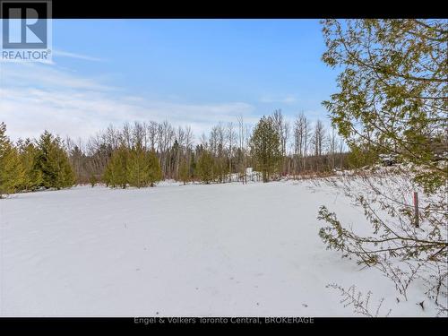 429570 8Th B Concession Road, Grey Highlands, ON 