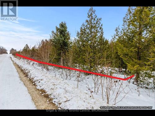 429570 8Th B Concession Road, Grey Highlands, ON 