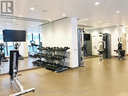 310 - 115 Blue Jays Way, Toronto, ON - Indoor Photo Showing Gym Room