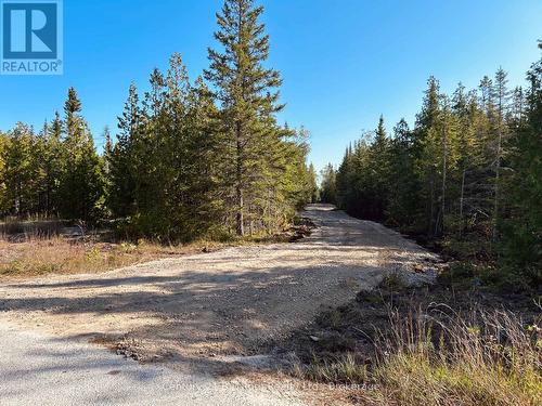 155 Bradley Drive, Northern Bruce Peninsula, ON 