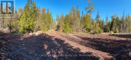 155 Bradley Drive, Northern Bruce Peninsula, ON 