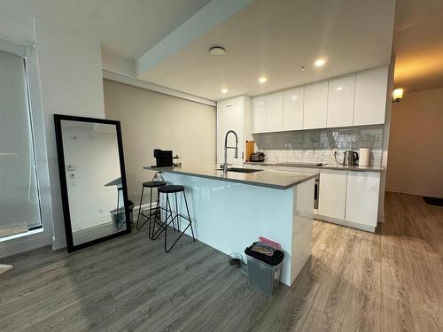 Cuisine - 404-1228 Rue Des Bassins, Montréal (Le Sud-Ouest), QC - Indoor Photo Showing Kitchen With Upgraded Kitchen