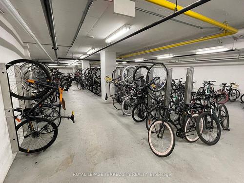 203-170 Fort York Blvd, Toronto, ON - Indoor Photo Showing Garage