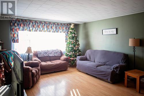 65 Byrd Avenue, Gander, NL - Indoor Photo Showing Living Room