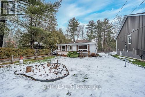 67 Maple Avenue, Georgina, ON - Outdoor