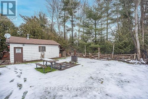 67 Maple Avenue, Georgina, ON - Outdoor