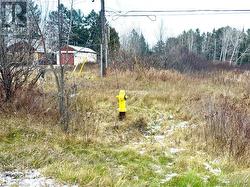 Fire Hydrant Protected - 